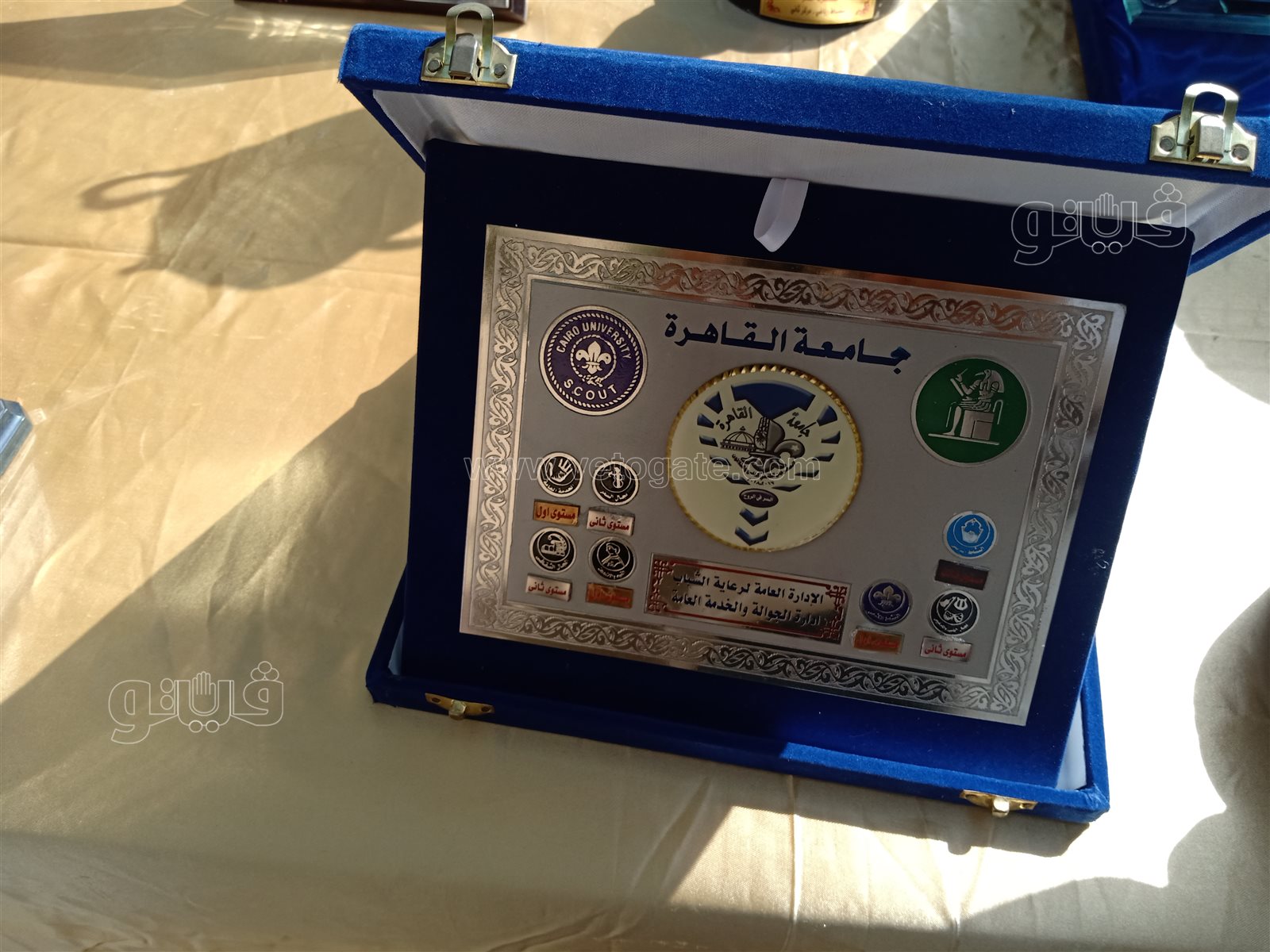 جامعة حلوان (24)