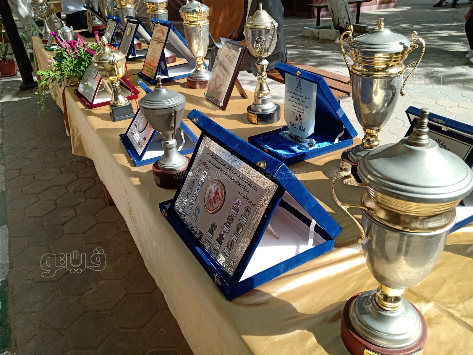 جامعة حلوان (25)