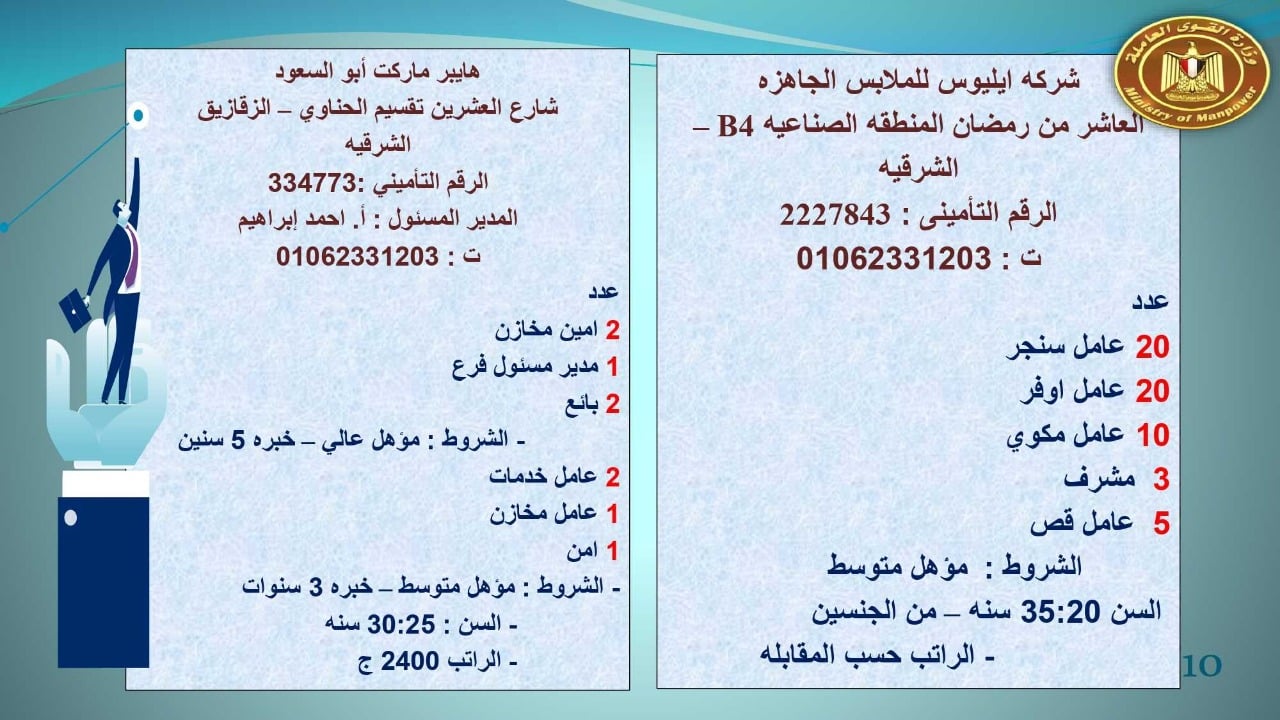 القوى العاملة:3981 وظيفة شاغرة بتخصصات مختلفة في 11 محافظة 4