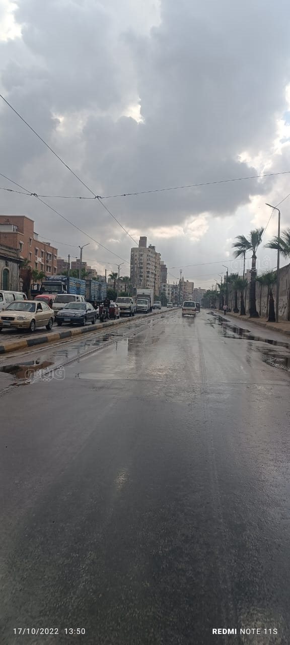  هطول أمطار غزيرة على الإسكندرية  (6)