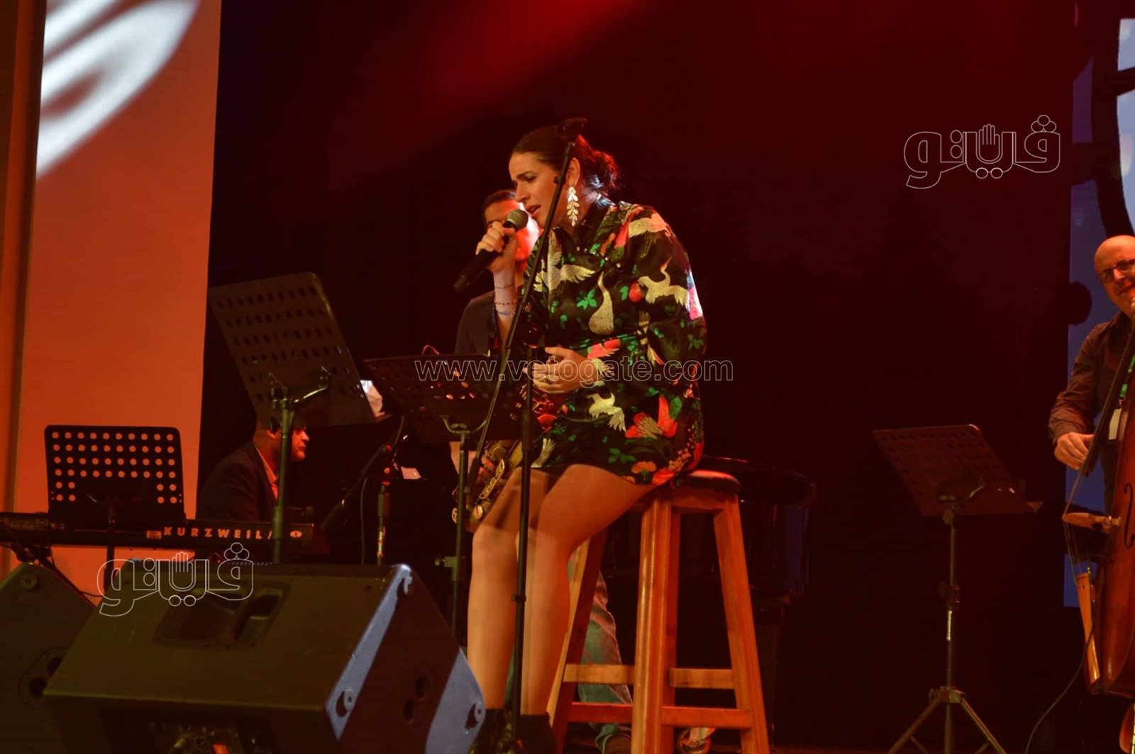 افتتاح الدورة الـ ١٤ من مهرجان القاهرة للجاز (2)