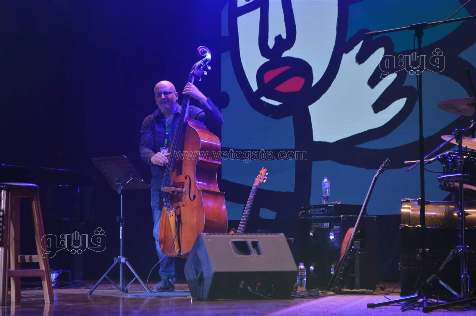 افتتاح الدورة الـ ١٤ من مهرجان القاهرة للجاز (8)