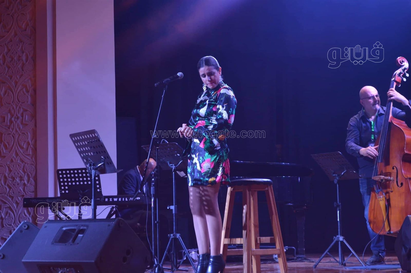 افتتاح الدورة الـ ١٤ من مهرجان القاهرة للجاز (17)