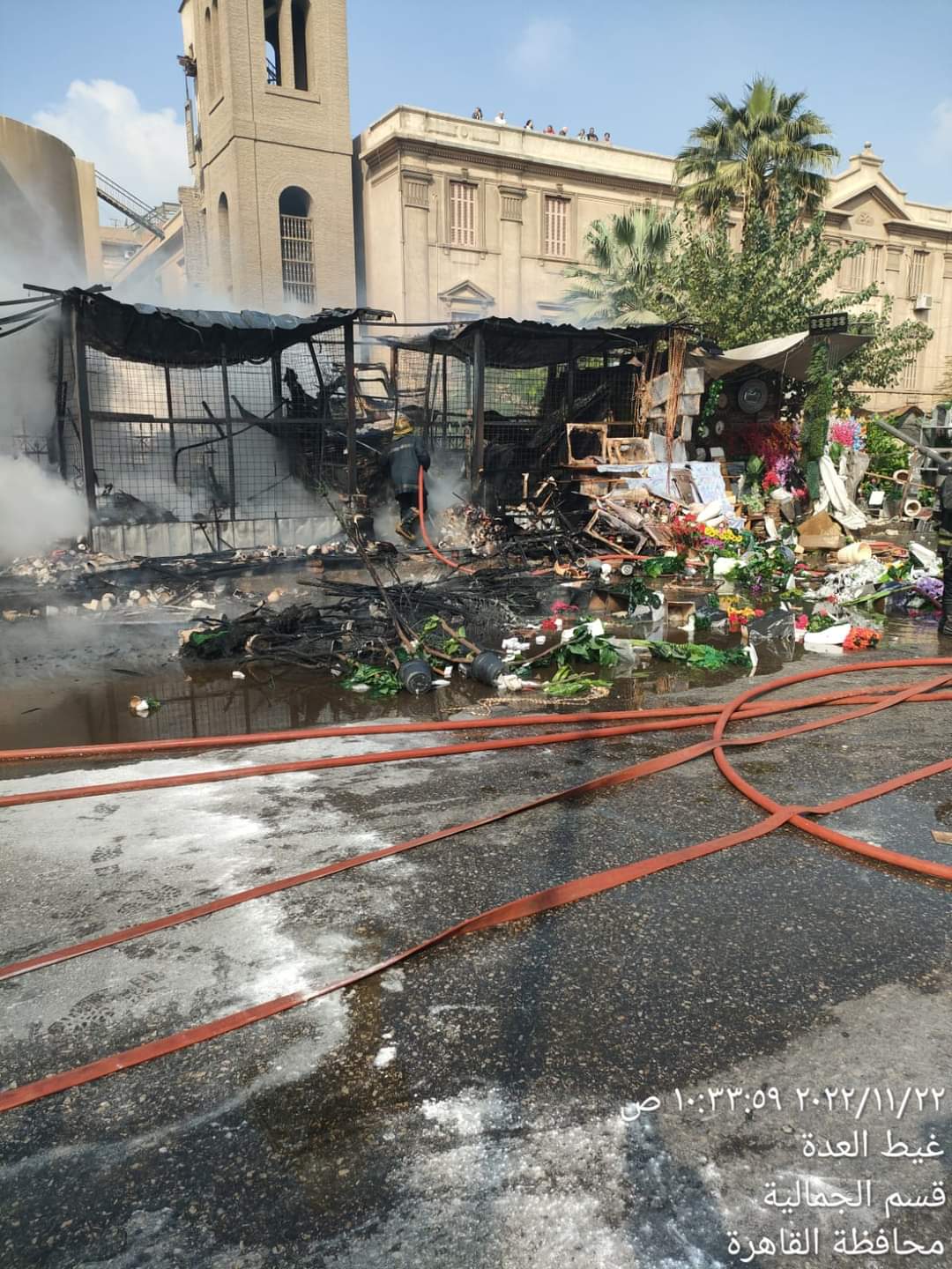 FB_IMG_1669117748842