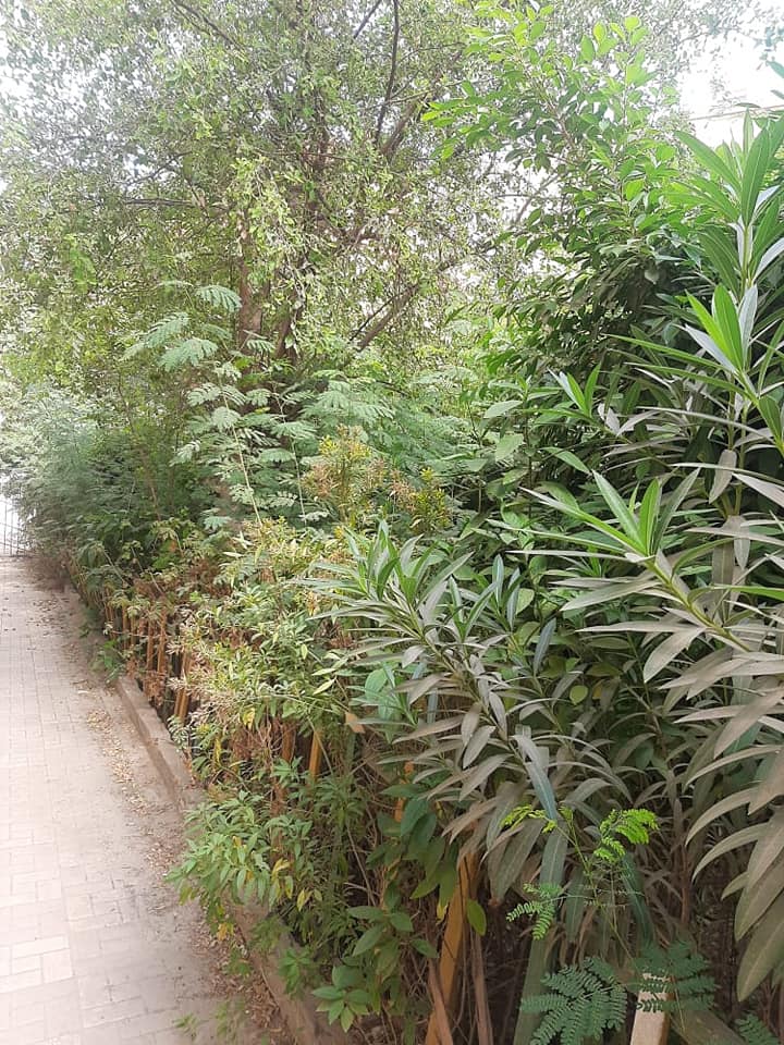 240832804_2945237205730356_5610975756275431957_n (1)