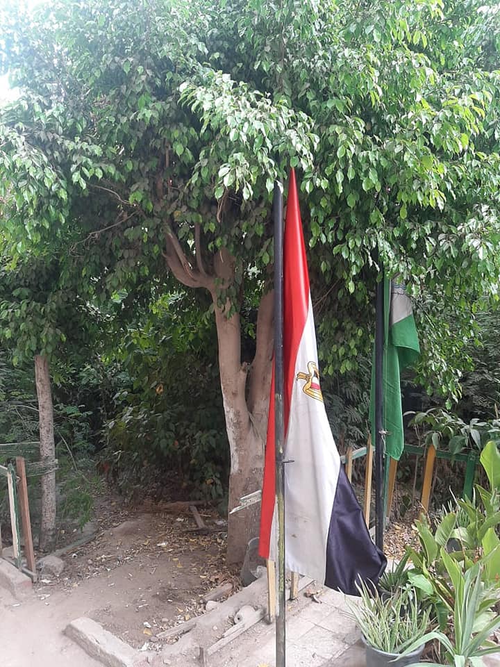 240799613_2945237362397007_2261349683015832263_n