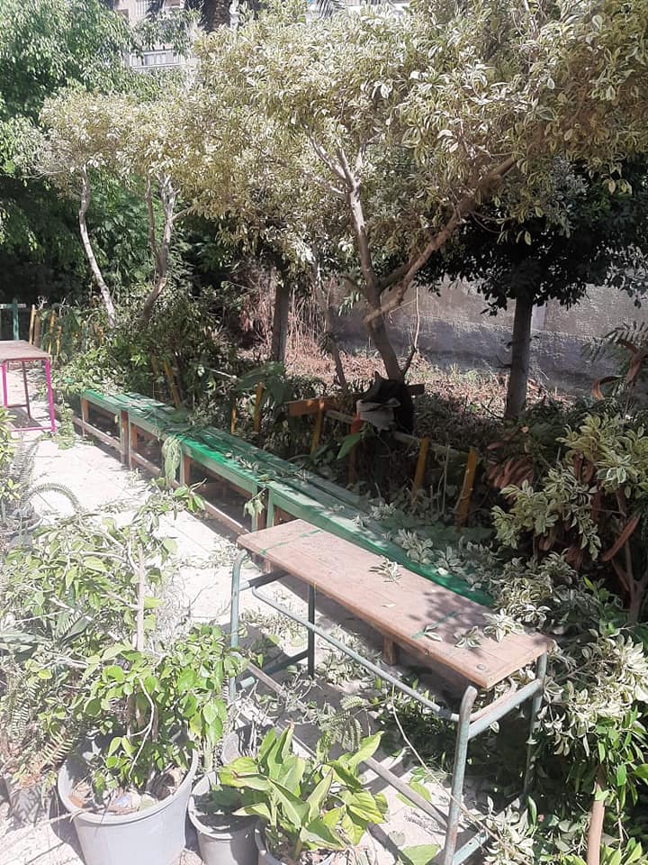 240992179_2945237322397011_1047681598325084132_n