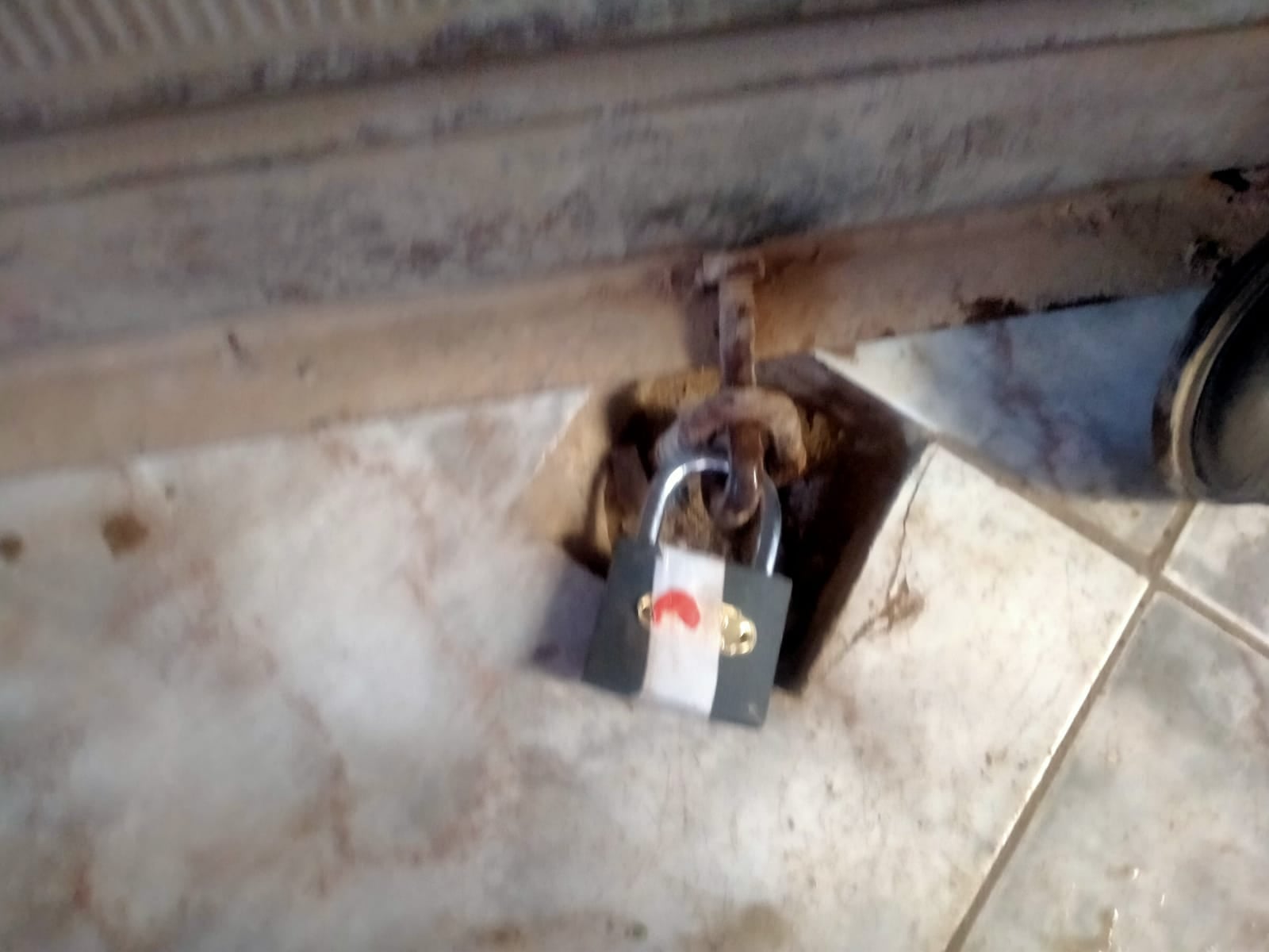 240852344_141909248128969_8858738587551619333_n