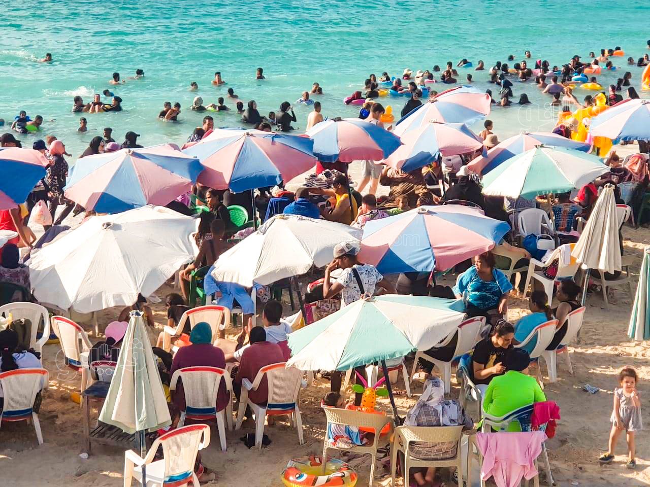 إقبال كبير على شاطئ مطروح العام-9