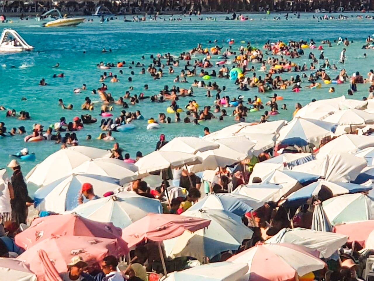 إقبال كبير على شاطئ مطروح العام-12