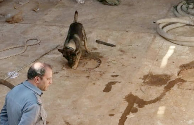 2019-636899830212488902-248