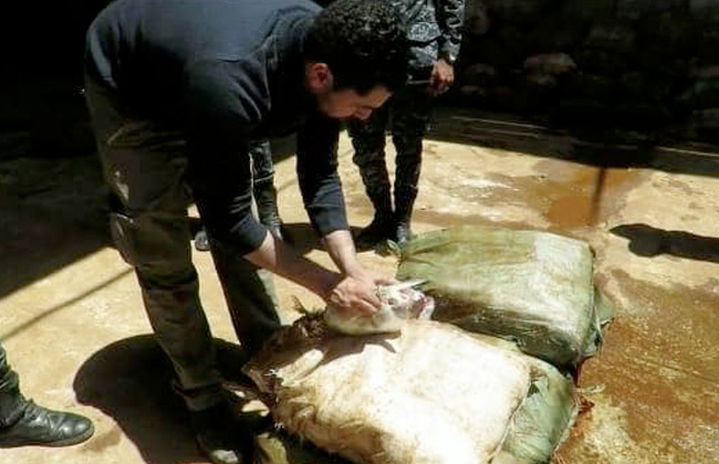 2019-636899831017479718-747