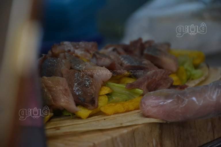 عم مجدي ملك الأسماك المملحة (5)