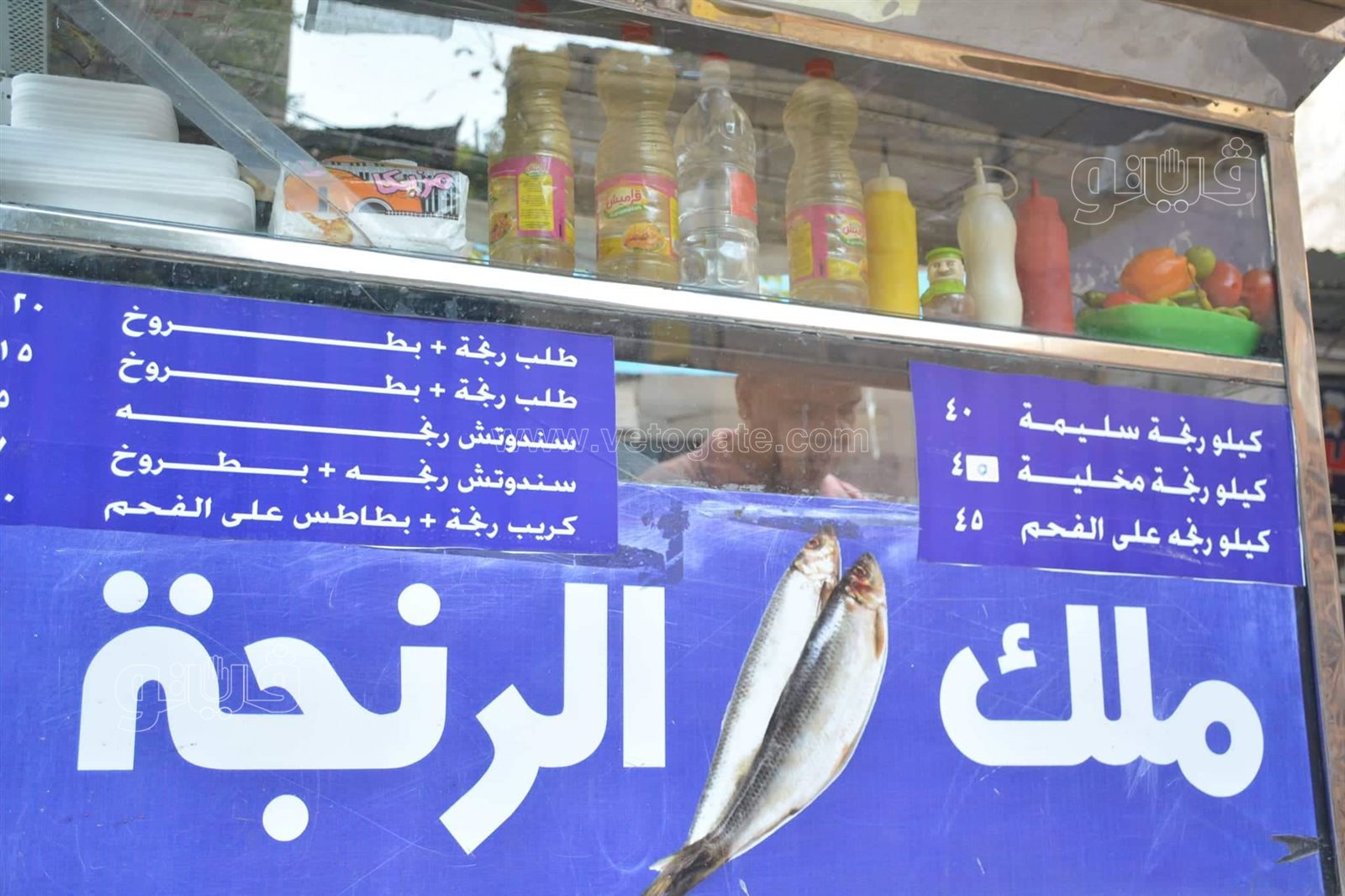 عم مجدي ملك الأسماك المملحة (6)