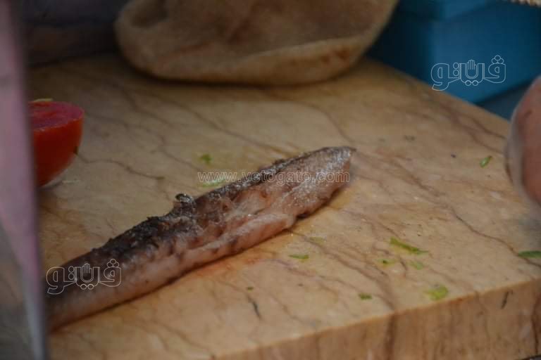 عم مجدي ملك الأسماك المملحة (25)