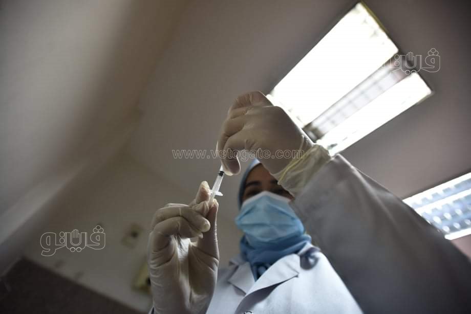 وزيرا التعليم العالي والصحة ورئيس جامعة القاهرة يتفقدون عمليات تطعيم الطلاب ضد كورونا (1)