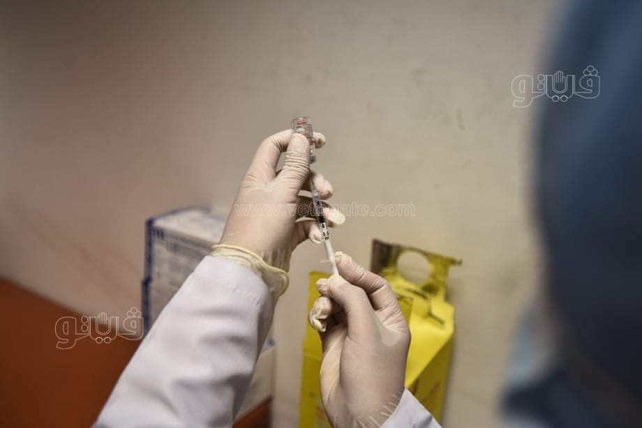 تطعيم طلاب جامعة القاهرة ضد فيروس كورونا (21)