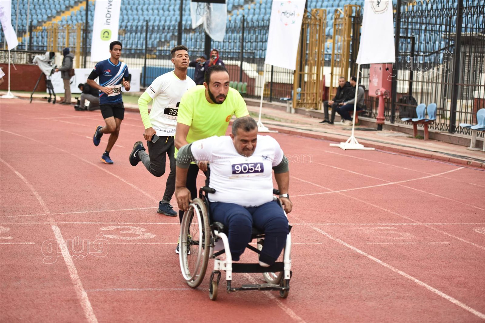  فعاليات مارثون زايد الخيري بإستاد الإسكندرية (5)