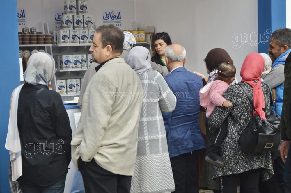 مهرجان الجبن المصري (4)