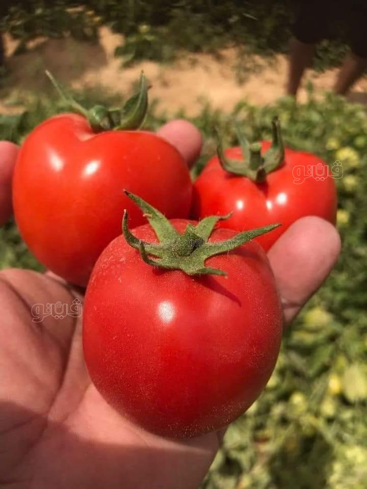 FB_IMG_1672435434350