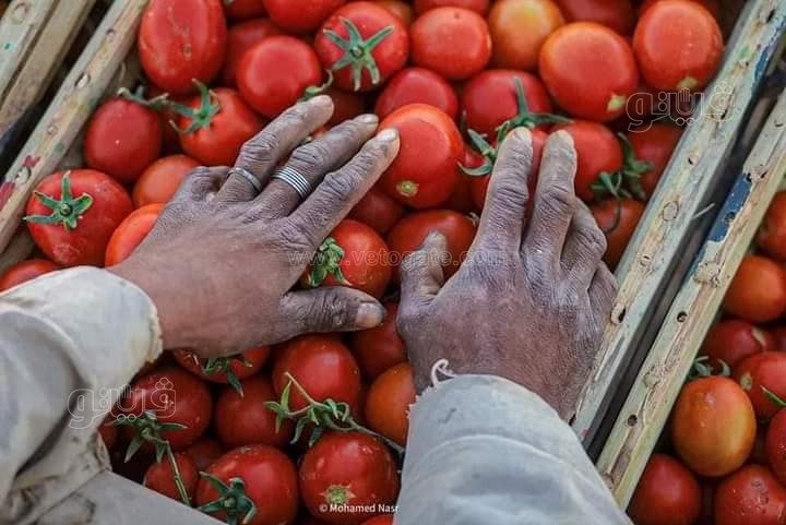 FB_IMG_1672435437965