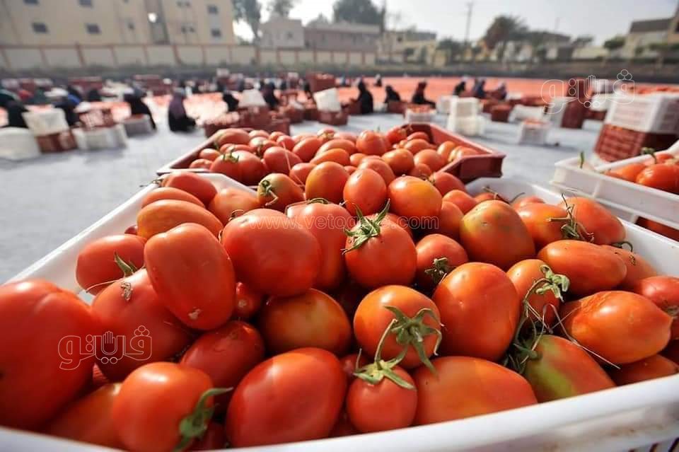 FB_IMG_1672435504726