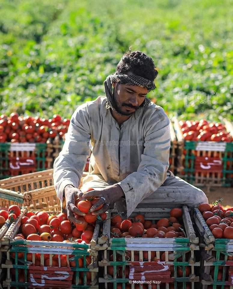 FB_IMG_1672435643934