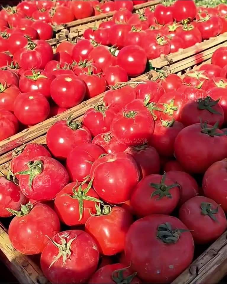 FB_IMG_1672435656369