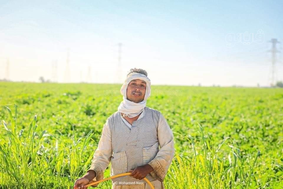 FB_IMG_1672435663899