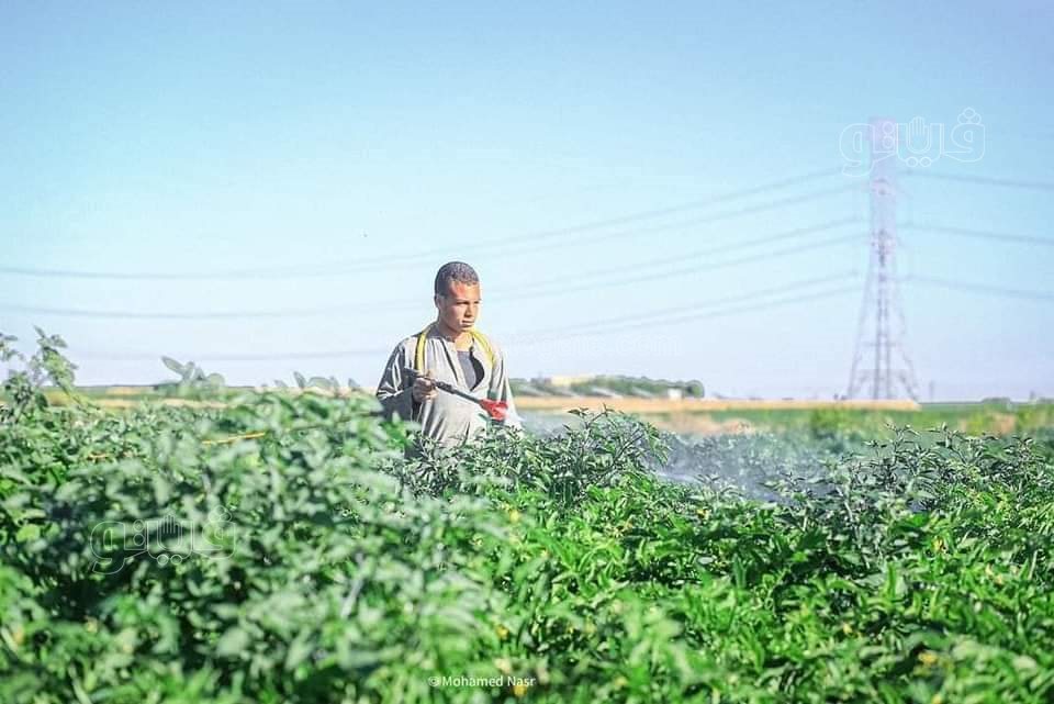 FB_IMG_1672435666472