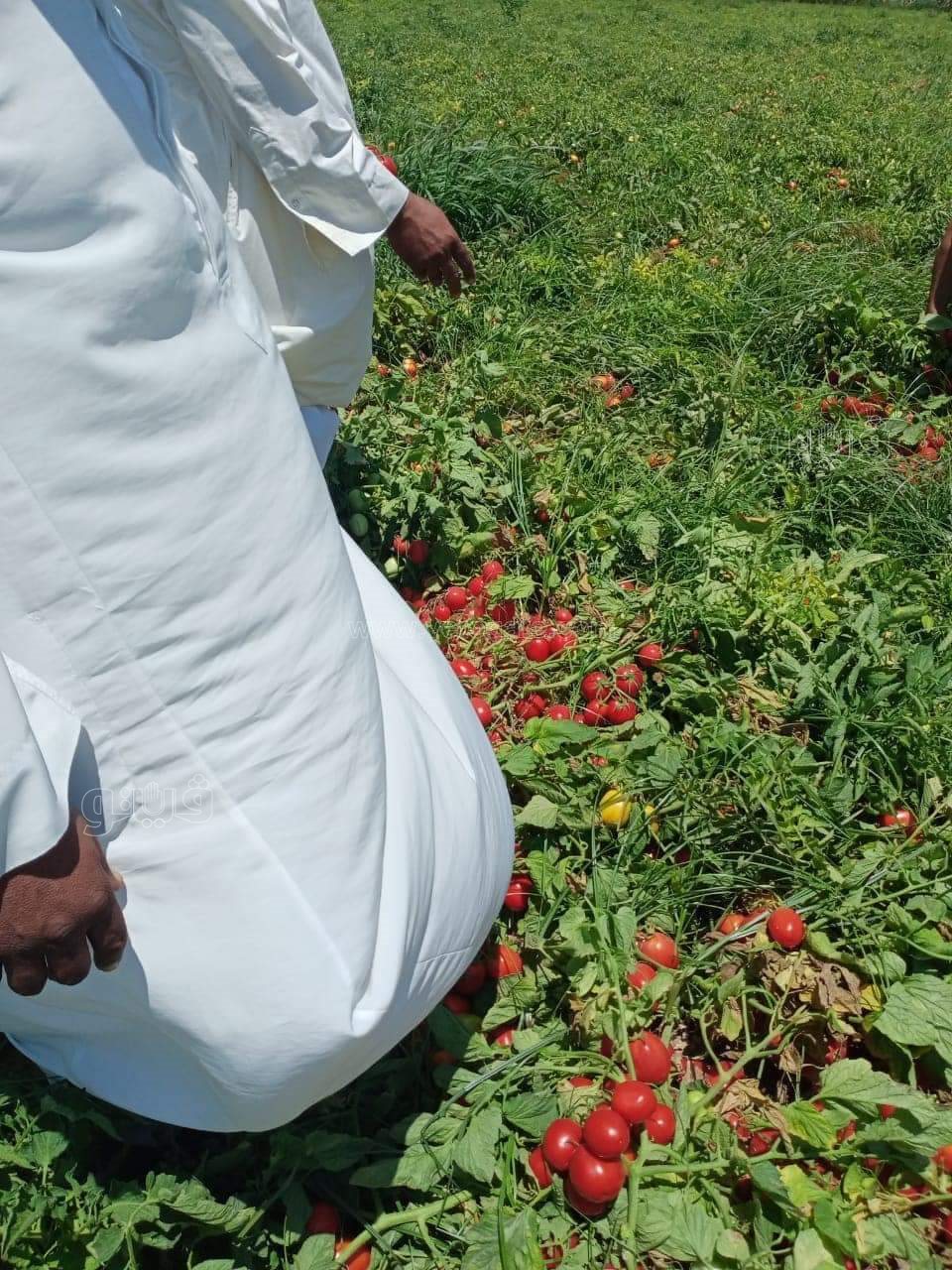 FB_IMG_1672435691399