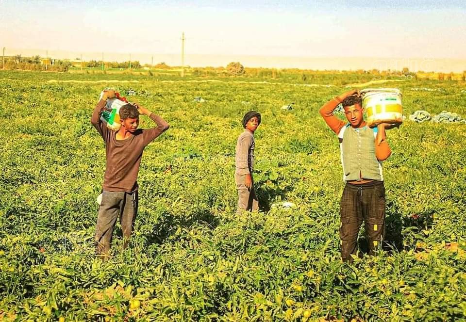 FB_IMG_1672438383405