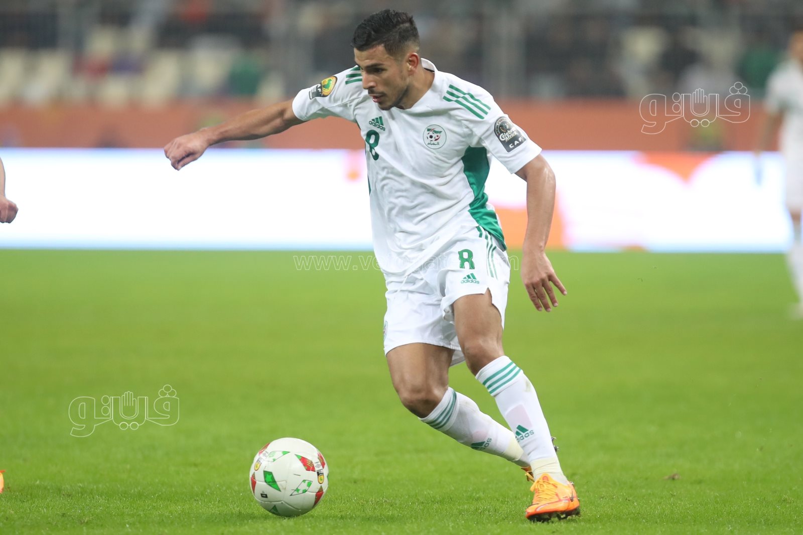 الجزائر وليبيا (21)