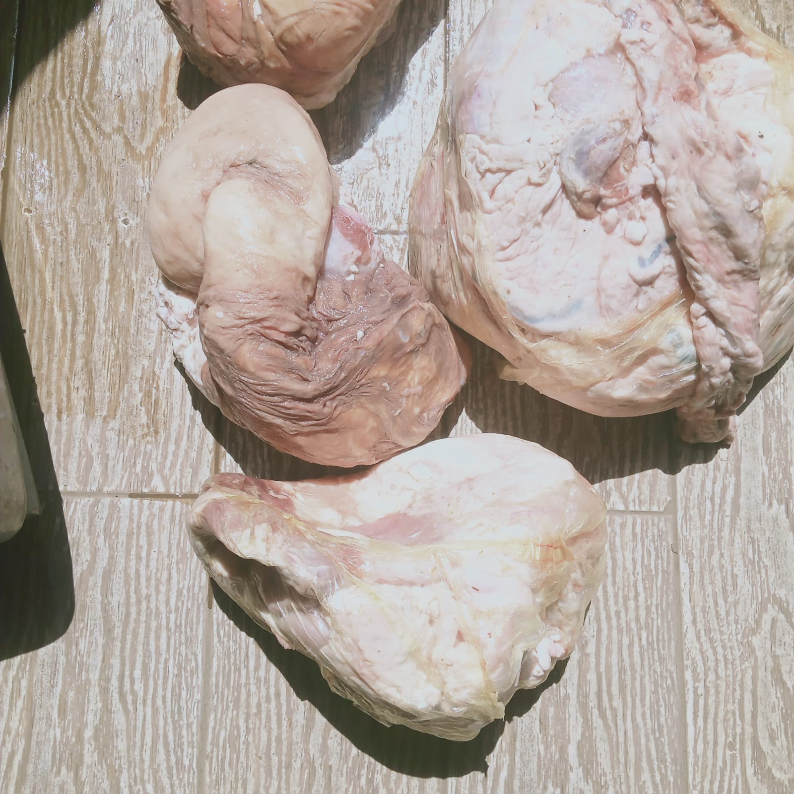 0fc1b7ab-8a8c-444d-b0c6-4e289716d461