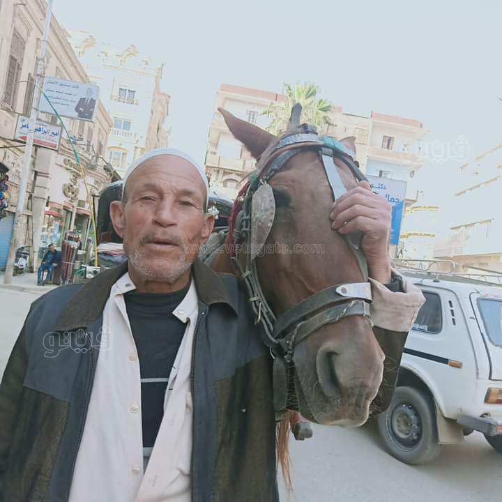 FB_IMG_1631267849964