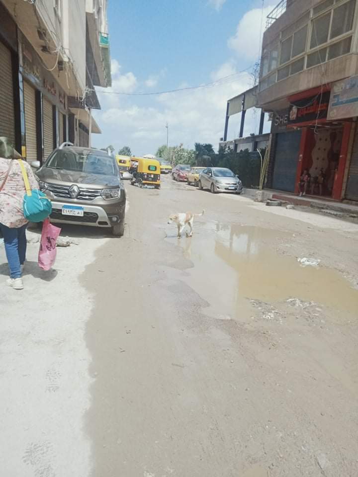 inbound4758448955633226606