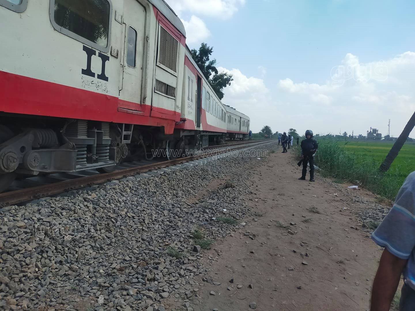 241655505_558803965169175_1627131842407780428_n