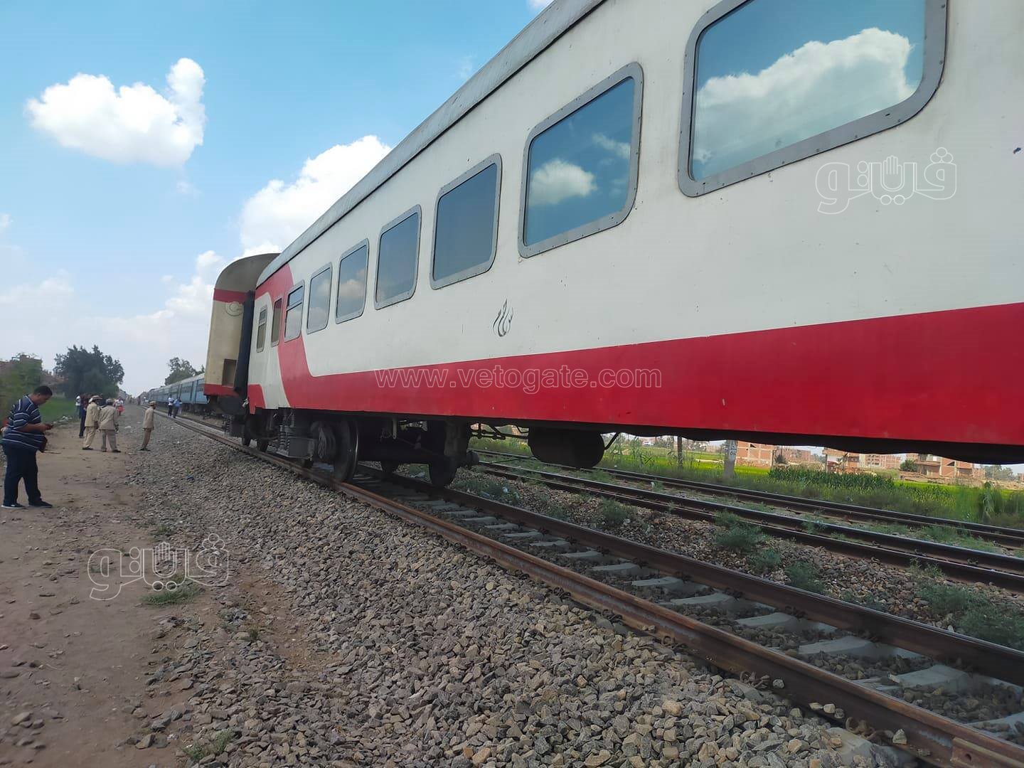 241758555_177291994510613_2435605537063088137_n