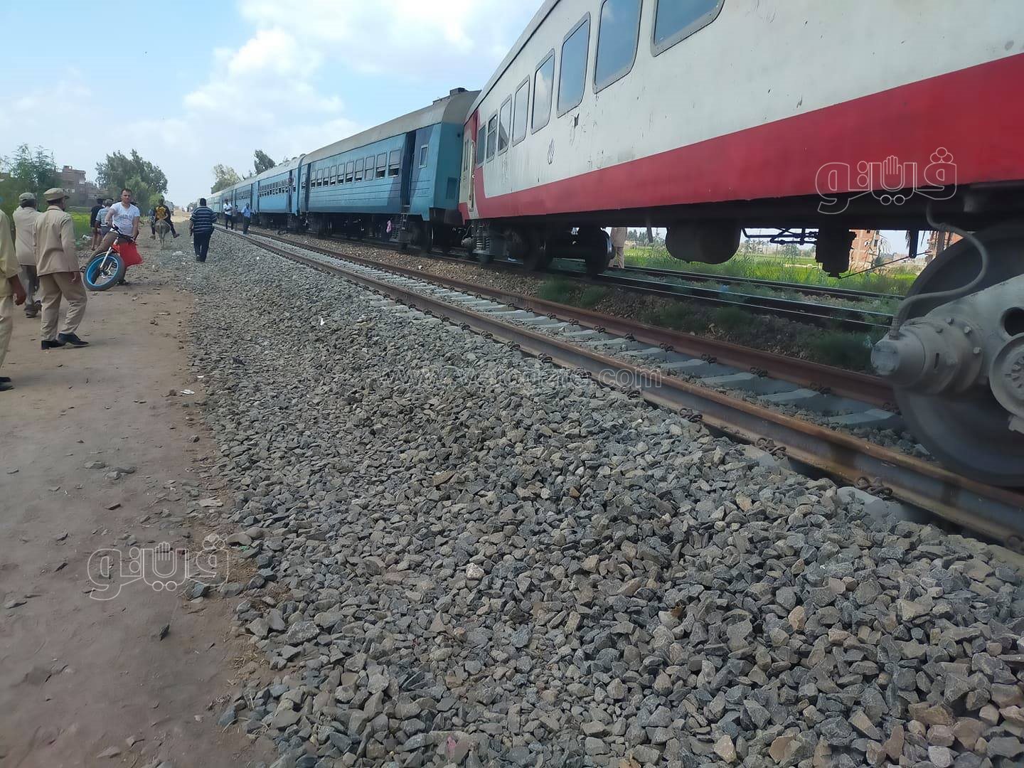 241324559_845433543003509_1490425524184819974_n