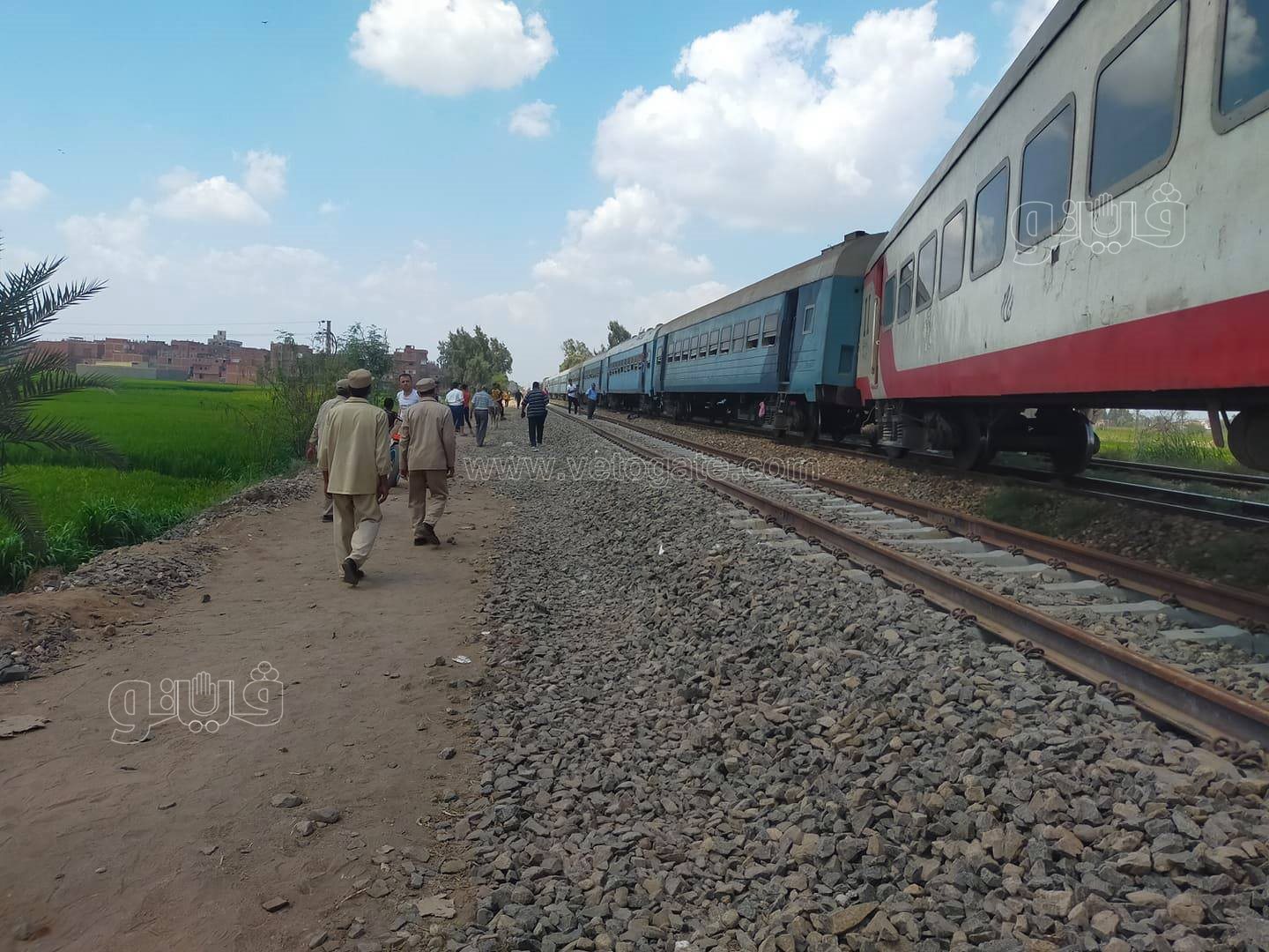 241665063_372576404407350_4108026373057451571_n