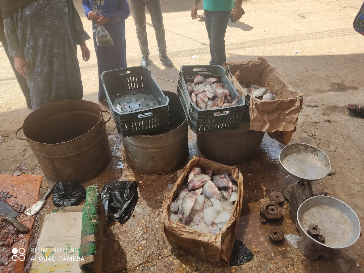 حملة تموينية في اهناسيا ببني سويف (12)