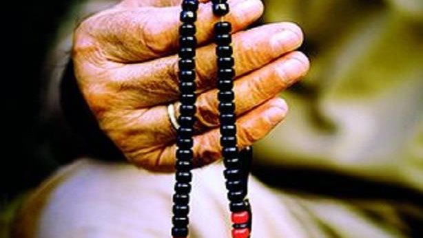 <strong>السبحة في الذكر، فيتو</strong>