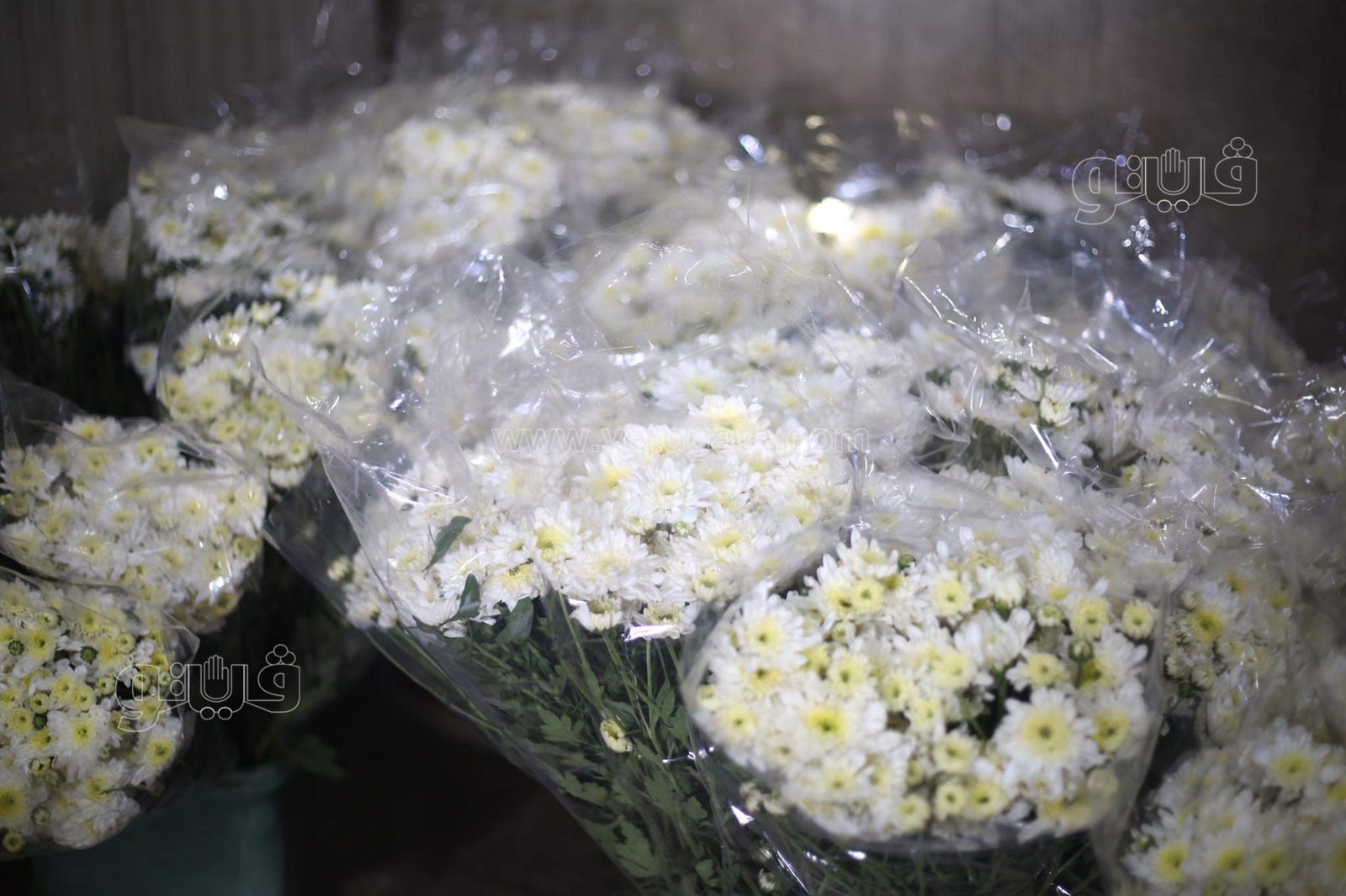 received_179609817615750