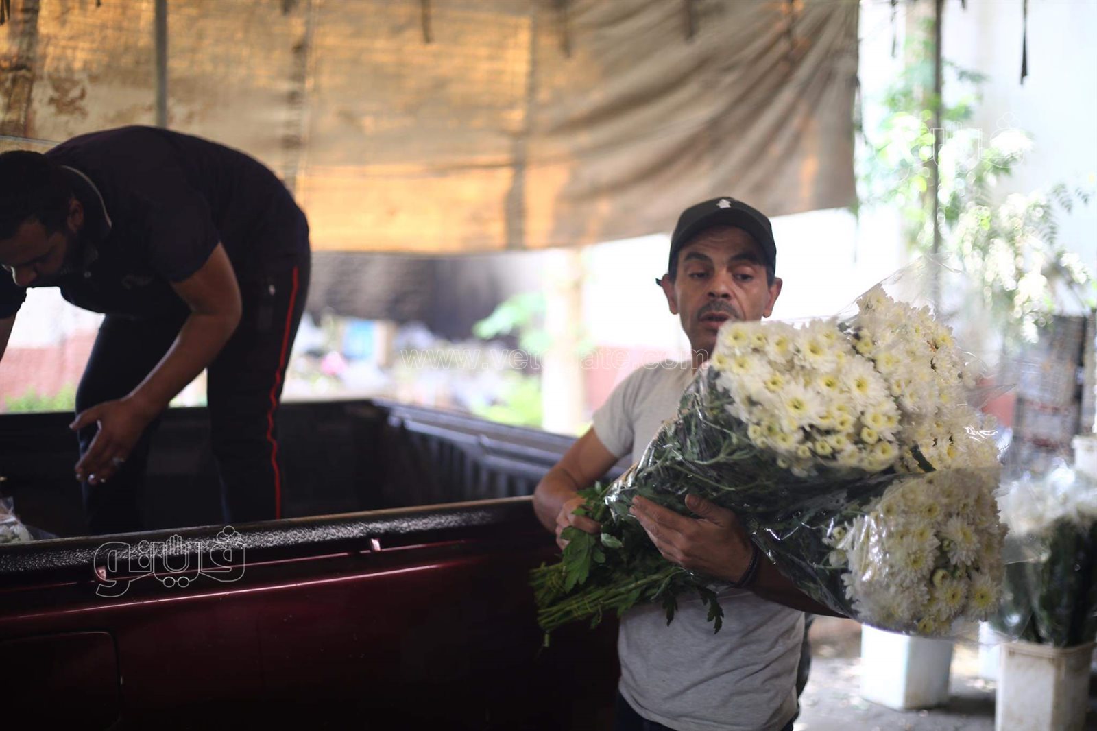 received_559535471921596