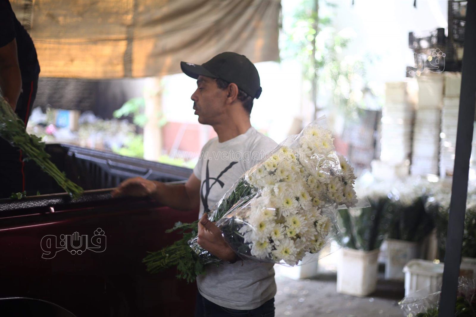 received_529397911491548