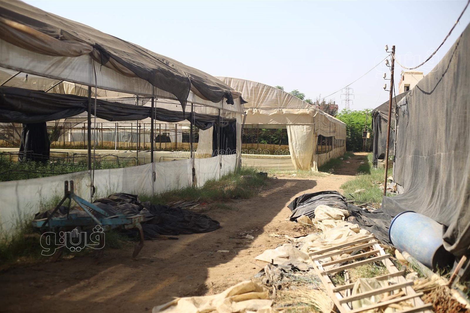 received_1517673311919416