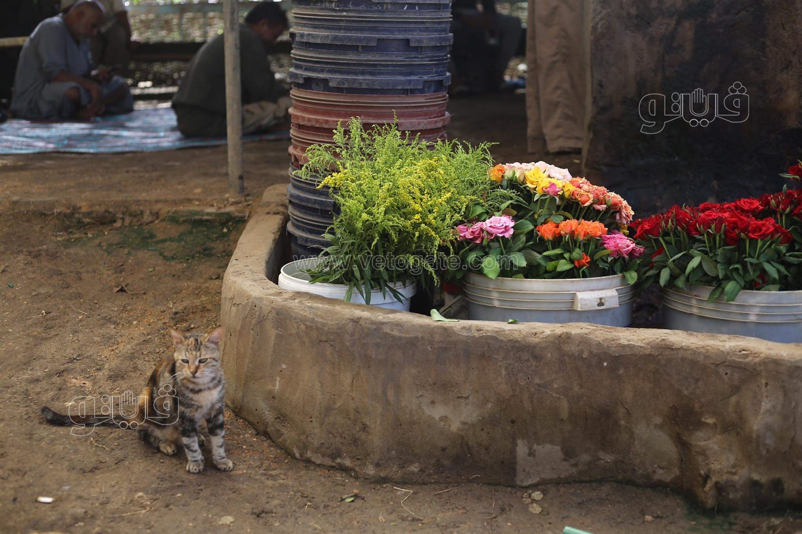 received_889953598600592