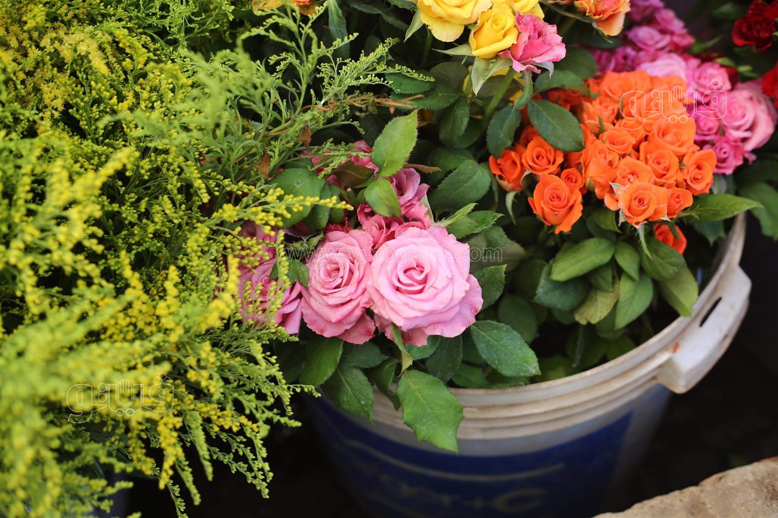 received_458680091842898