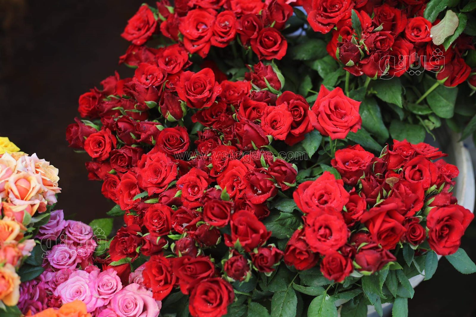 received_896168747671498