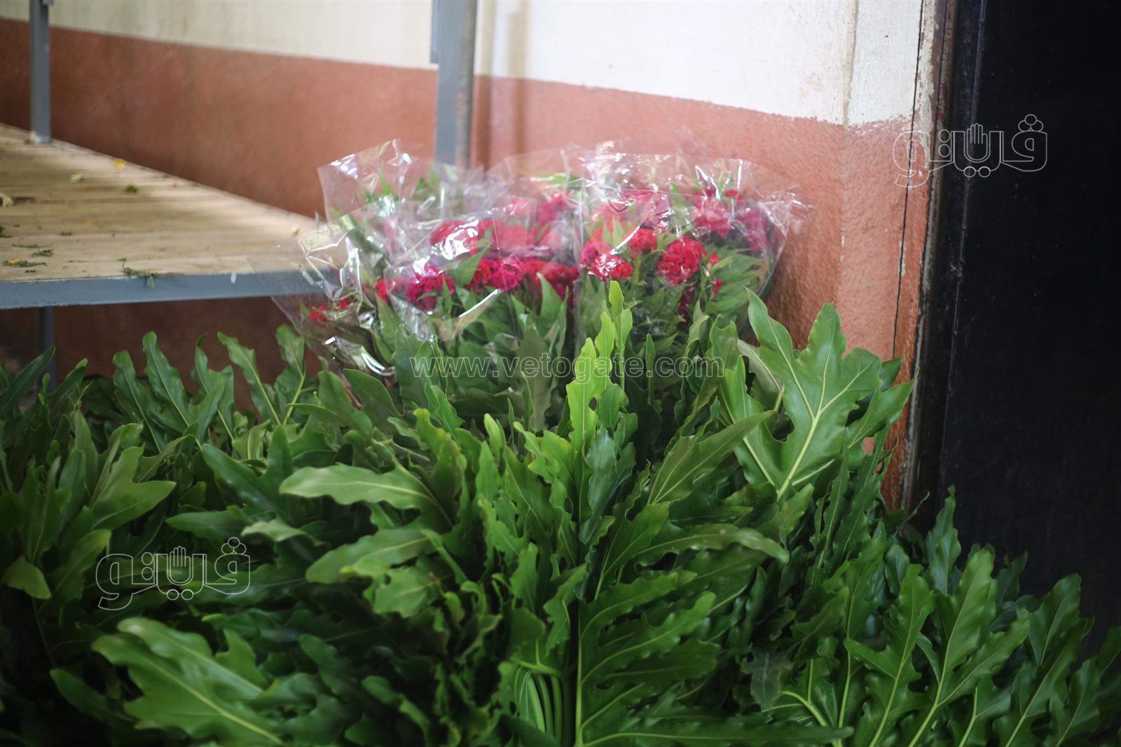 received_266995281769514